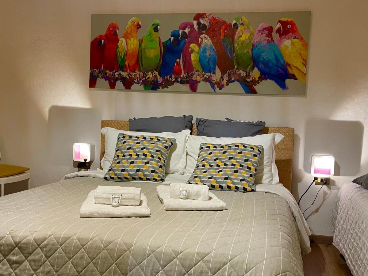 B&B Maggiore 58 Bolonya Dış mekan fotoğraf