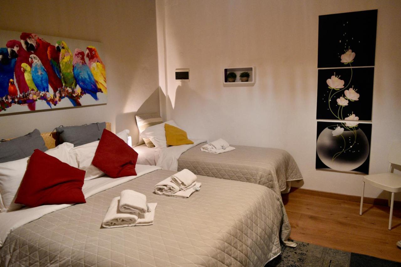B&B Maggiore 58 Bolonya Dış mekan fotoğraf