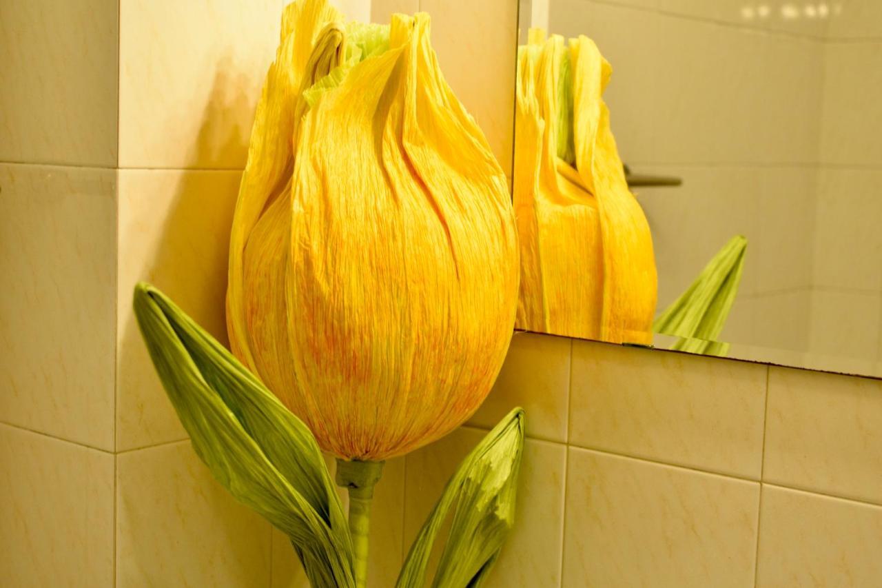 B&B Maggiore 58 Bolonya Dış mekan fotoğraf